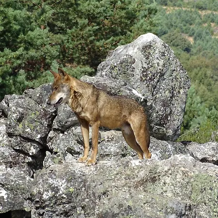 Carmen 호텔 El Puente (Castile and Leon)