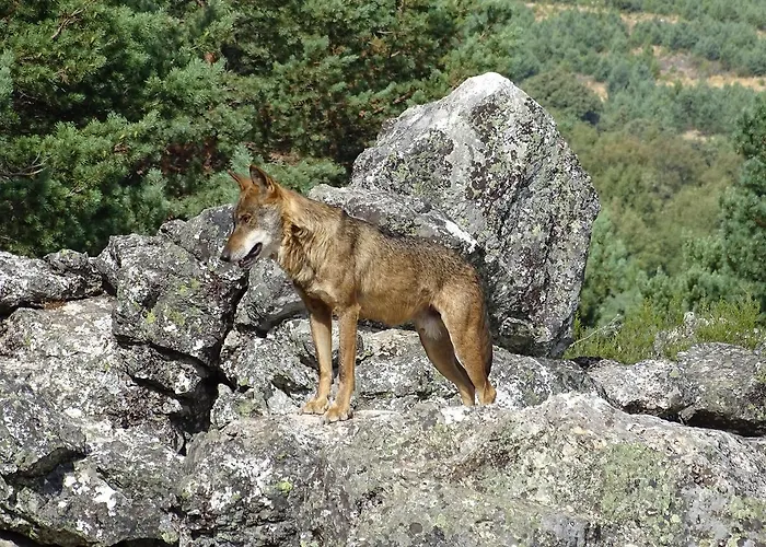 Carmen Hotel El Puente (Castile and Leon)